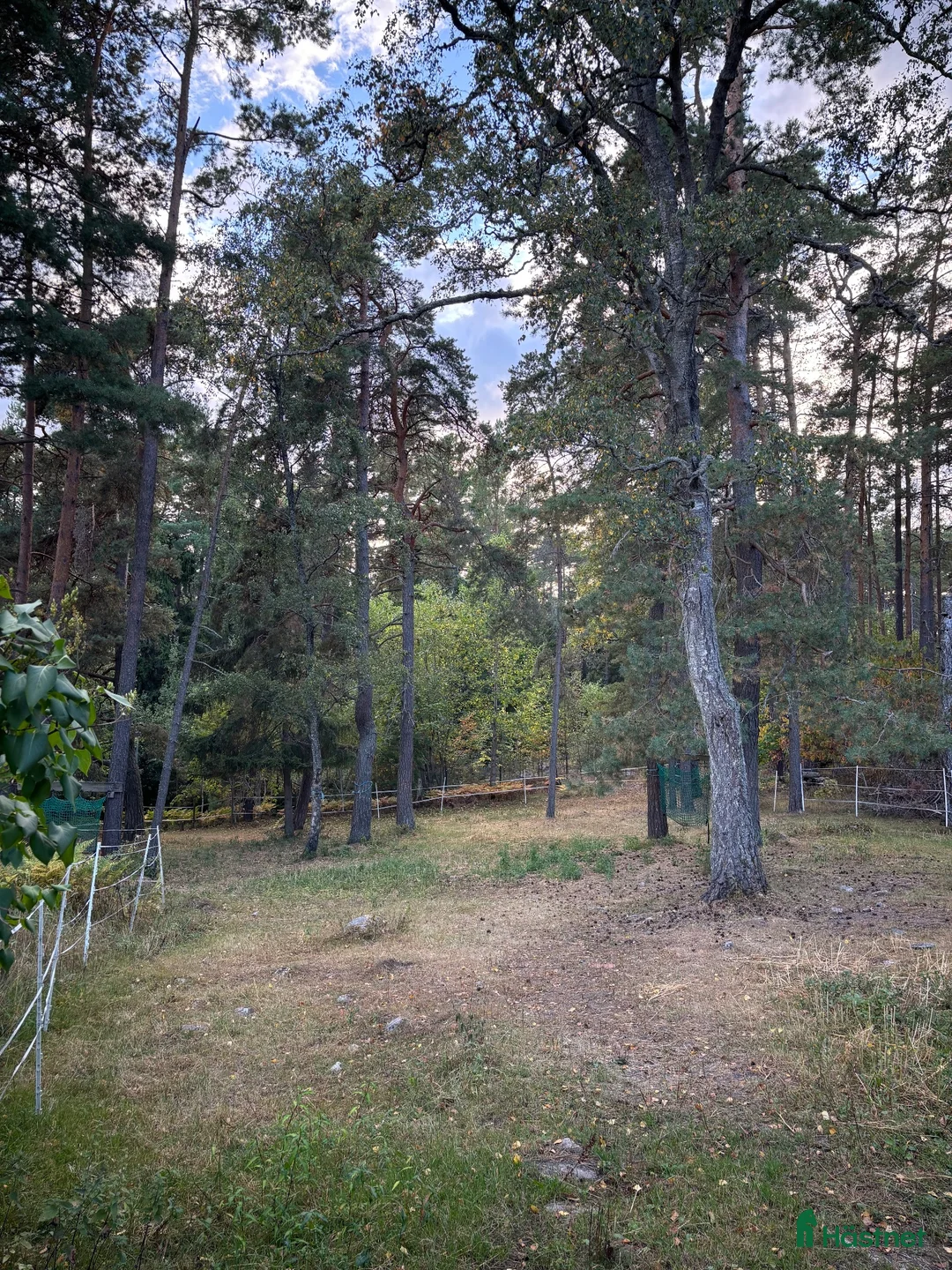  stallplats finnes: Lösdrift för valacker centralt i Täby - Annons 2