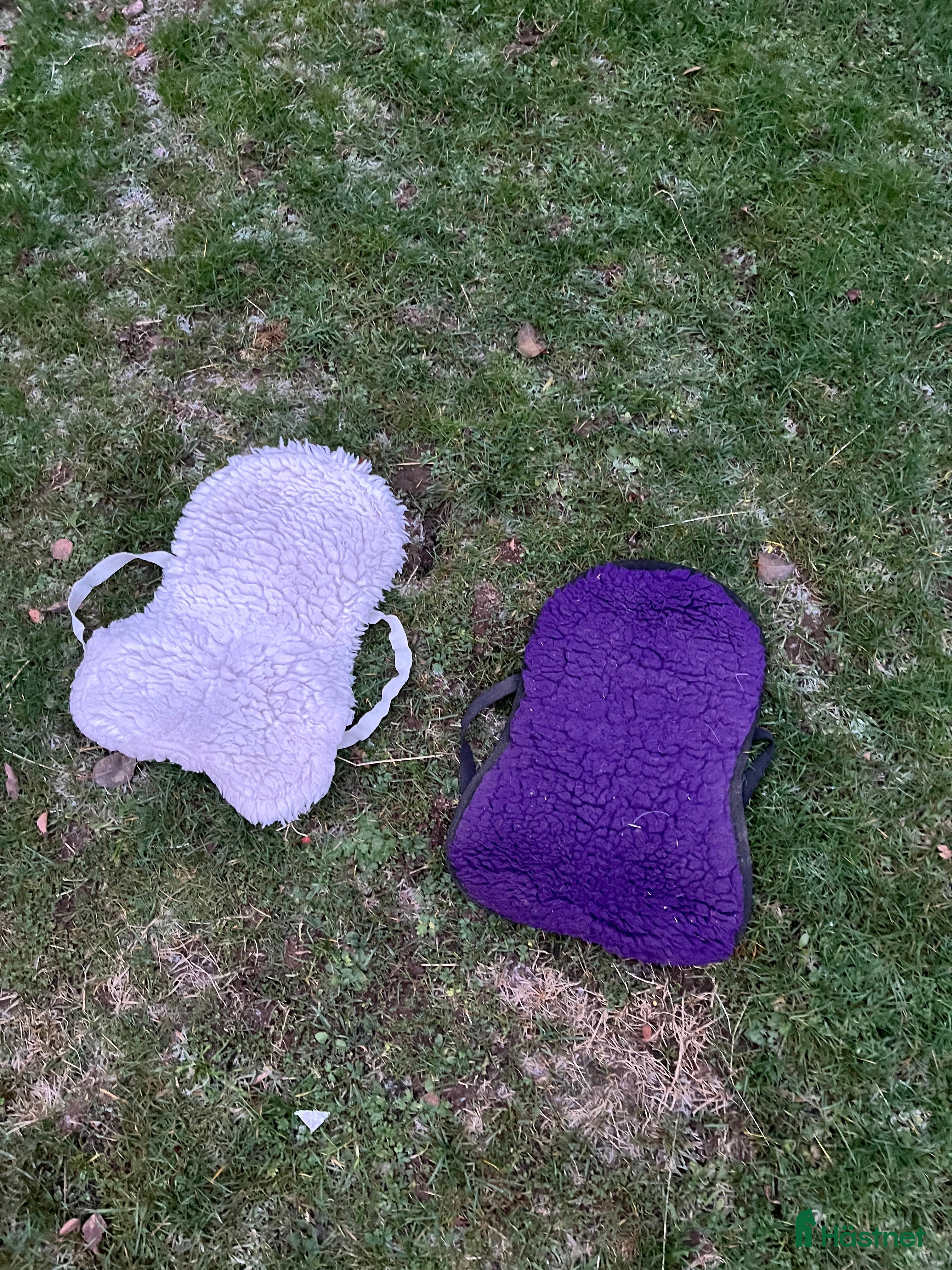 Sadeltillbehör hästutrustning till salu: Rumpvärmare i Västra Ämtervik - Annons 11