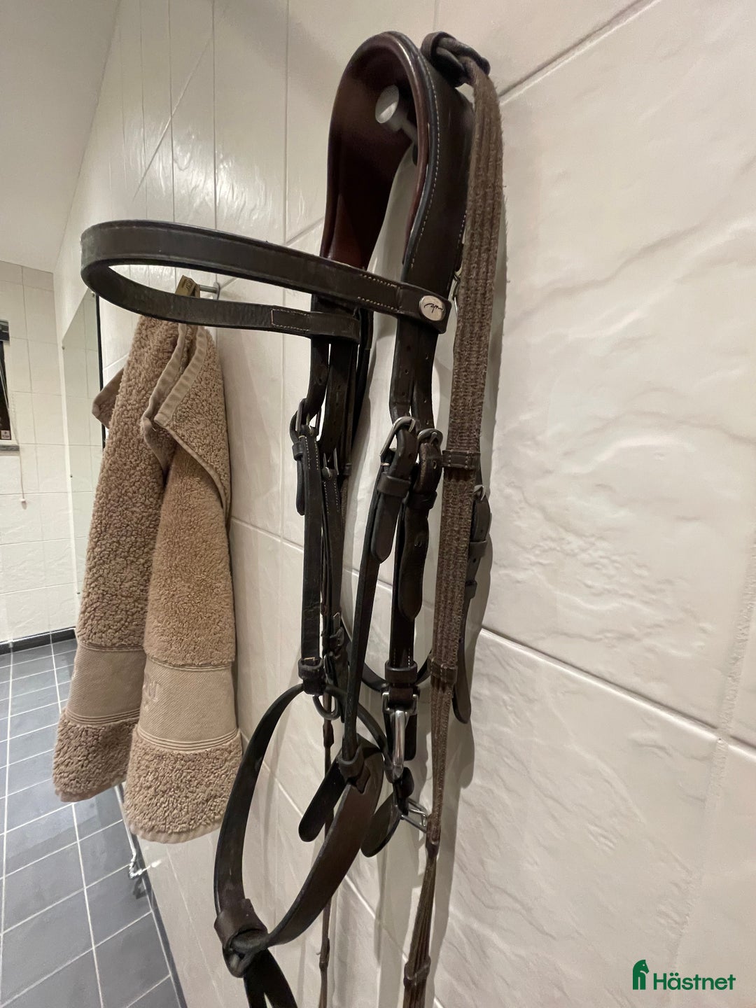 Träns hästutrustning till salu: Träns med clips  i Linköping - Annons 1