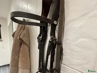 Träns hästutrustning Träns med clips bra inför unghästtest - Annons 21