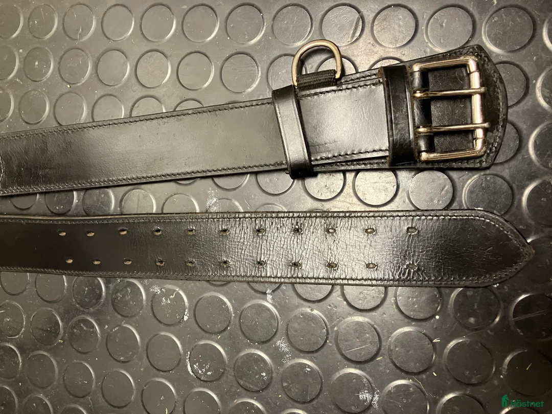 Övrig Hästutrustning hästutrustning till salu: Karlslund longer- och tömkörningsgjord i Täby - Annons 4