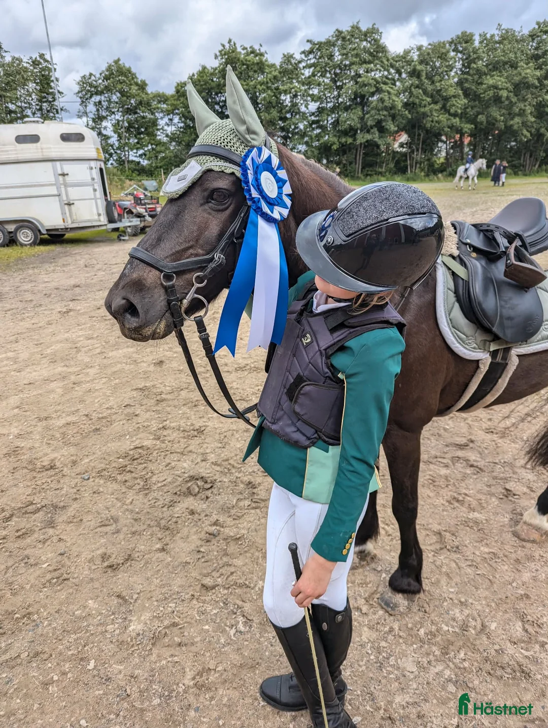 Allround hästar till salu: LÄROMÄSTARE  i Gråbo - Annons 2