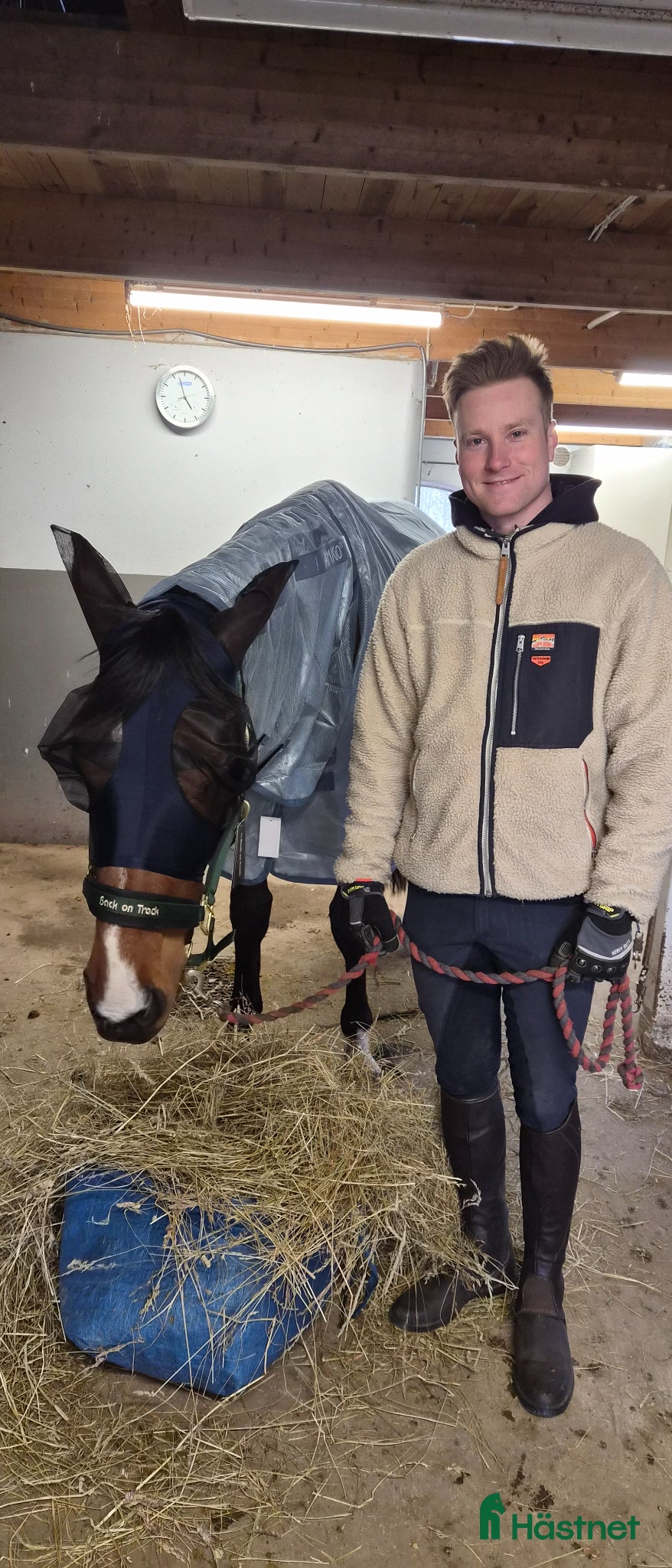  hästar Otroligt trevlig lovande treåring - Annons 2