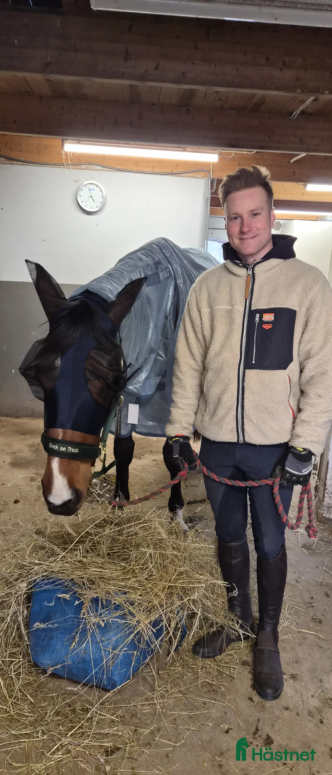 Hoppning hästar till salu: Otroligt trevlig lovande treåring - Annons 2