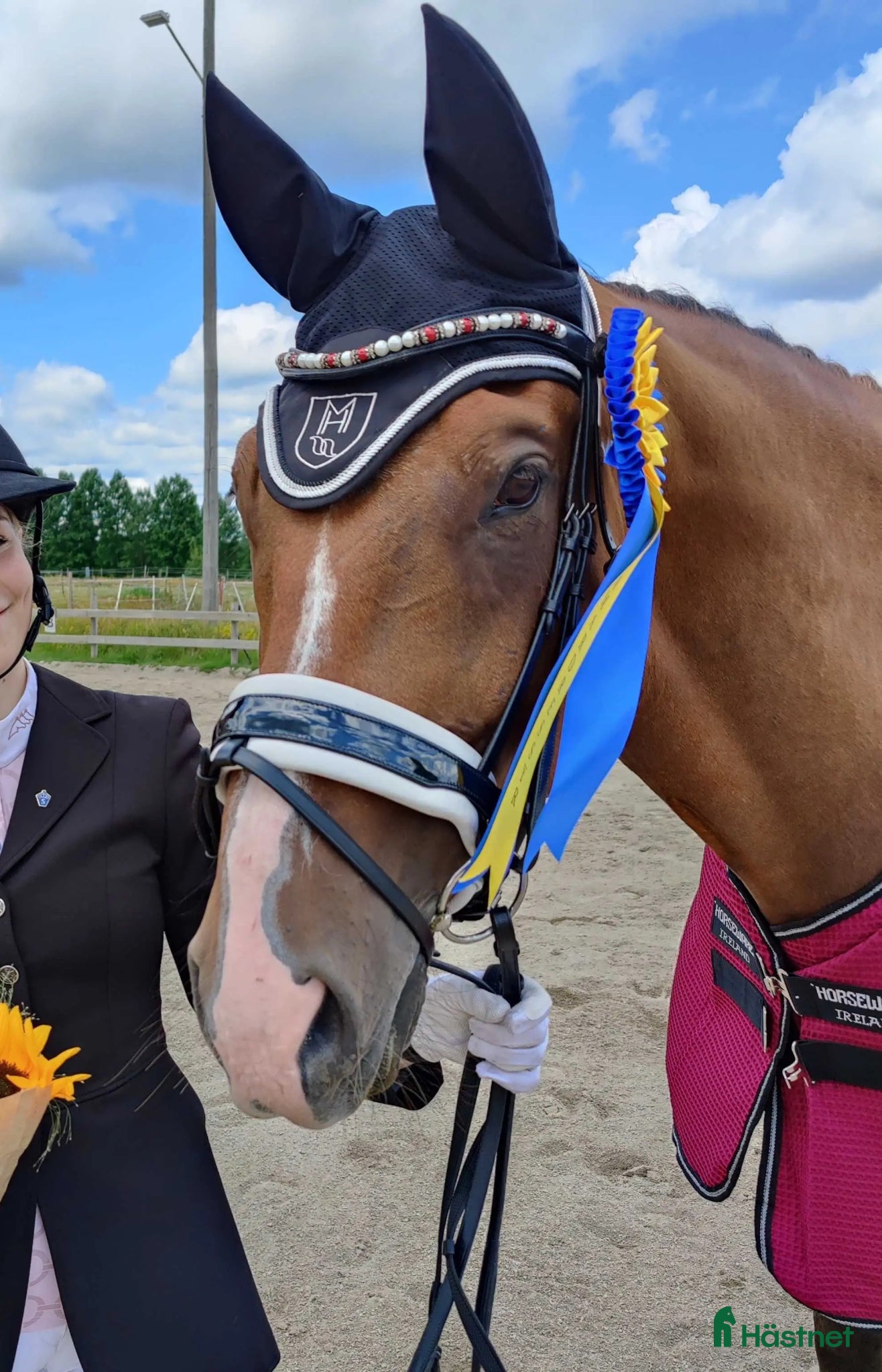  hästar Fantastisk individ - Annons 2