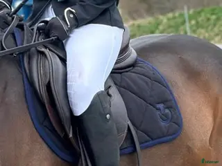 Schabrak & Vojlockar hästutrustning Super fint CT schabrak!🌟 - Annons 2