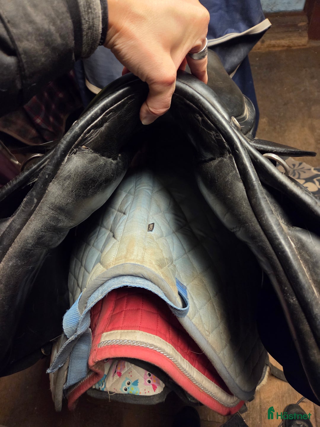 Sadlar hästutrustning till salu: Trainers Professional i Hortlax - Annons 3