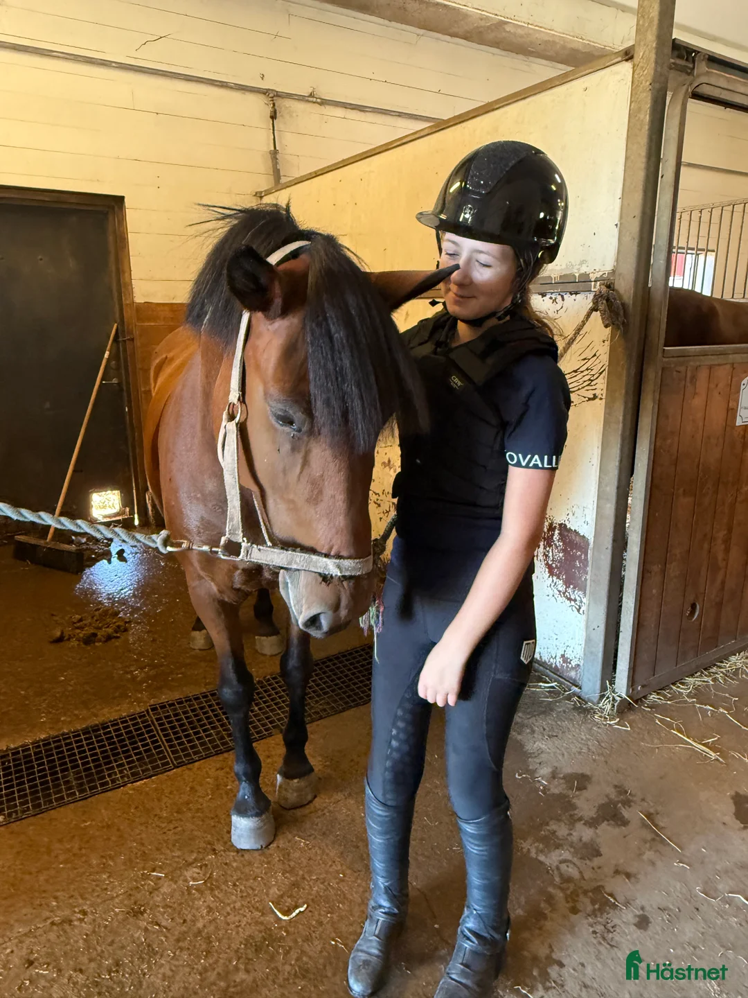  medryttarhäst sökes: Ponny/häst Karlstad, Hammarö, Kil med omnejd i Skåre - Annons 1