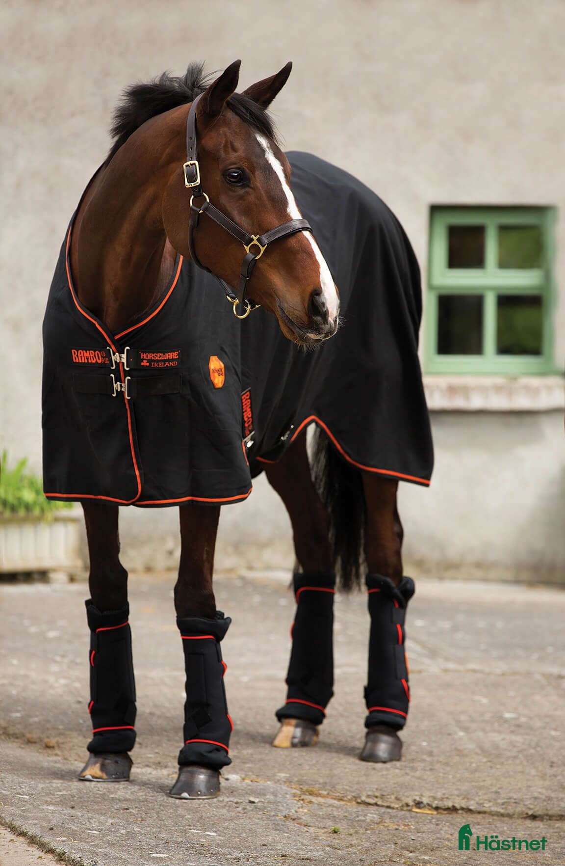 Täcken hästutrustning FYND 22st helt nya hästtäcken!!! Allt tsm - Annons 1