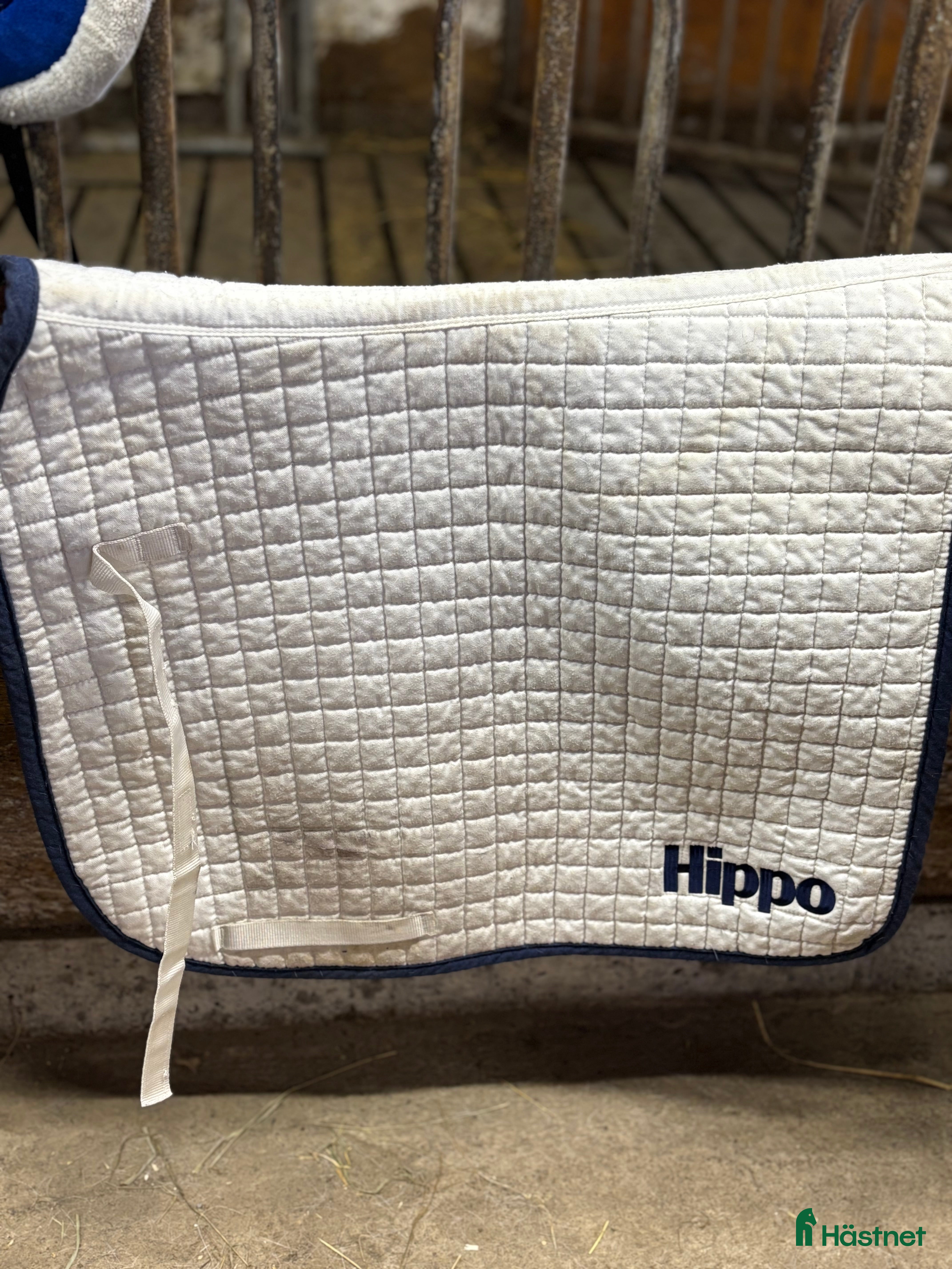 Schabrak & Vojlockar hästutrustning till salu: Schabrak och dressyrgjordar till salu i Älvsbyn - Annons 3