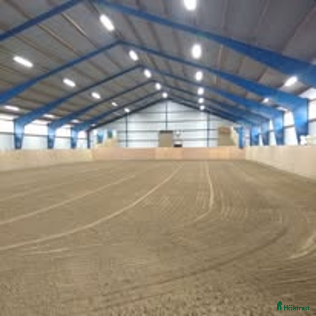  stallplats finnes: Ledig stallplats i Sätila - Annons 4