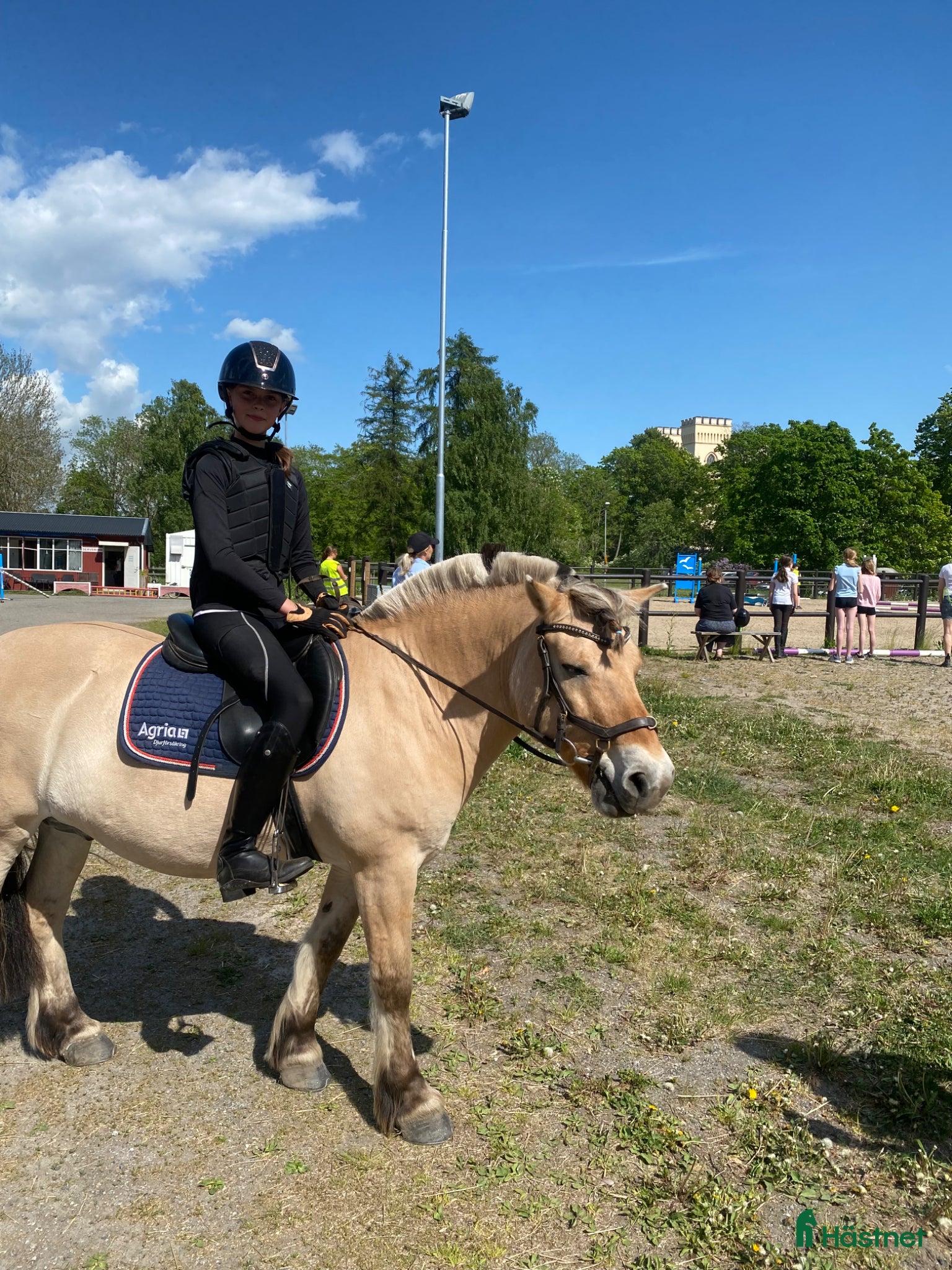 medryttarhäst finnes: Ansvarsfull ryttare söker medryttarhäst runt täby - Annons 1