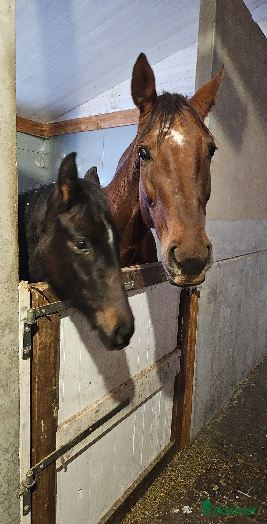 Galleribild {{count}}