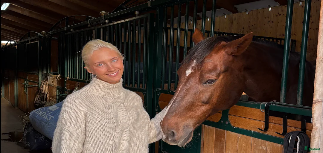 Galleribild {{count}}