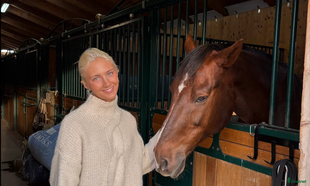 Galleribild {{count}}