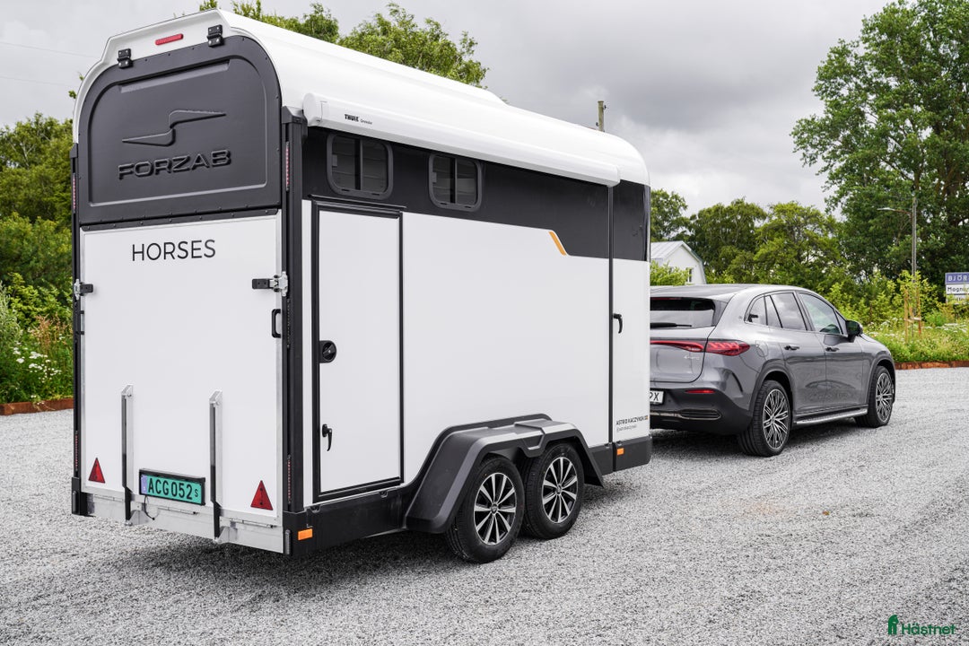 Hästtransporter  fordon & transport till salu: Demovagn Forzab EQ3R i Harestad - Annons 4