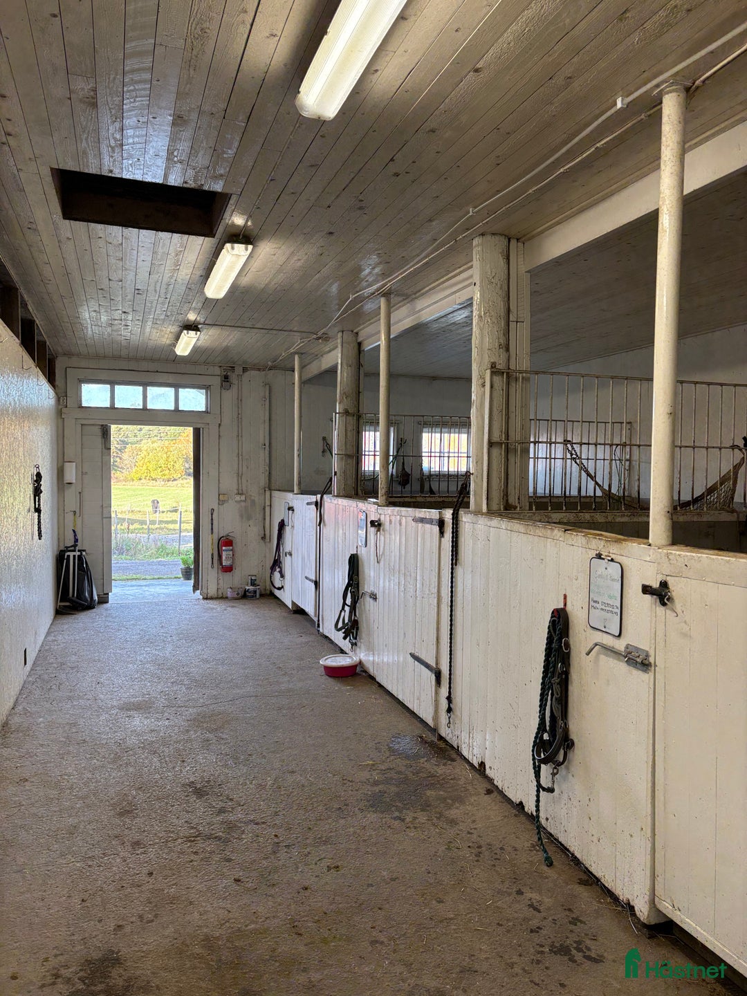  stallplats finnes: Ledig stallplats i Odensal/Berga i Märsta i Märsta - Annons 5