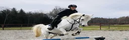  medryttarhäst finnes: Medryttare till 2 D-ponnies sökes i Västerhaninge - Annons 1