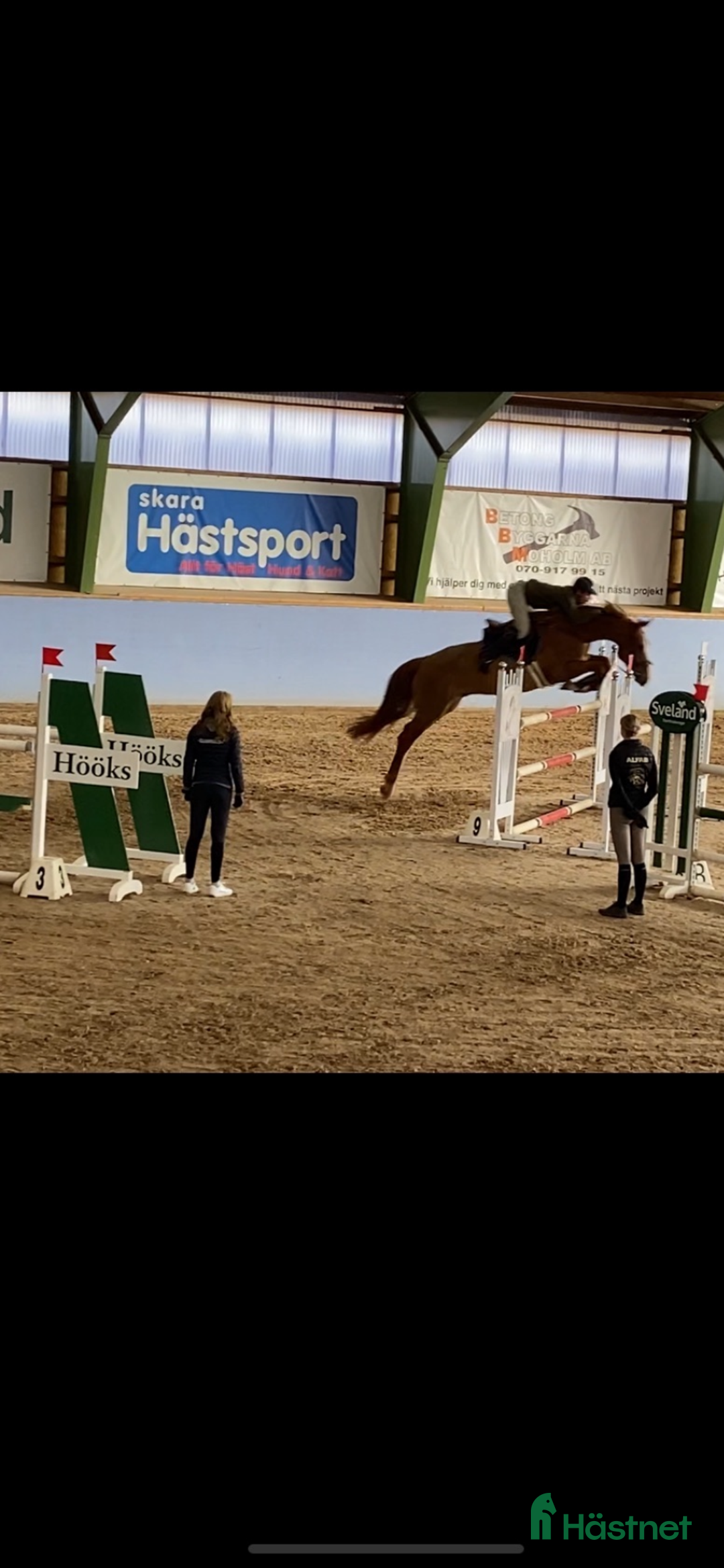 Hoppning hästar till salu: 🐴 Fantastisk hopp/allroundhäst  🐴 i Mullsjö - Annons 3