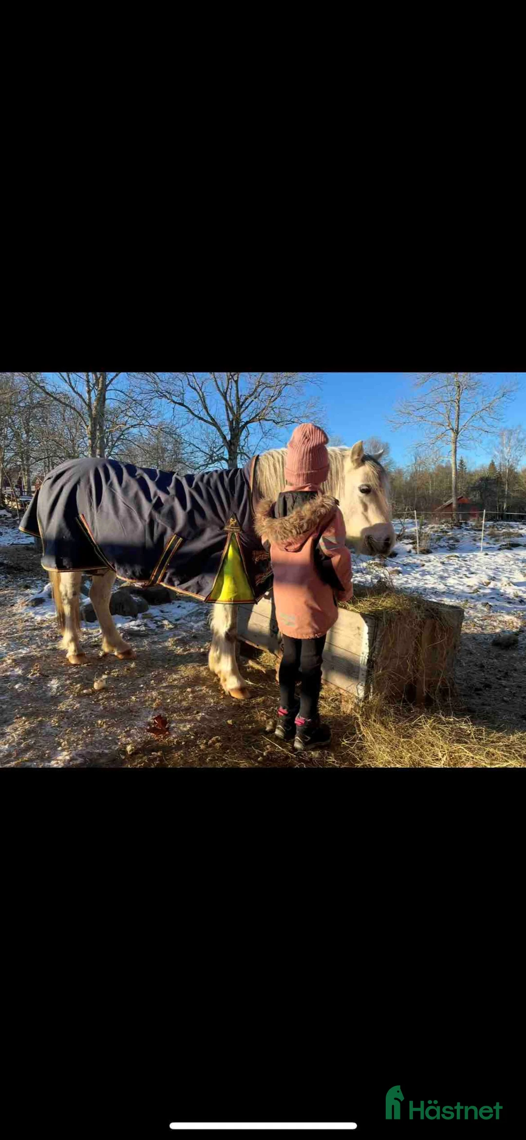  foderhäst sökes: Trygg ponny sökes i Långasjö - Annons 1