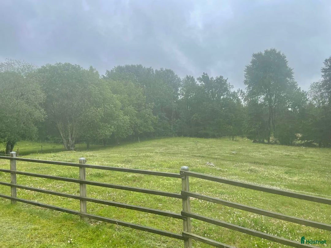  stallplats finnes: Lösdriftsplats finnes - Bjärnum i Bjärnum - Annons 3