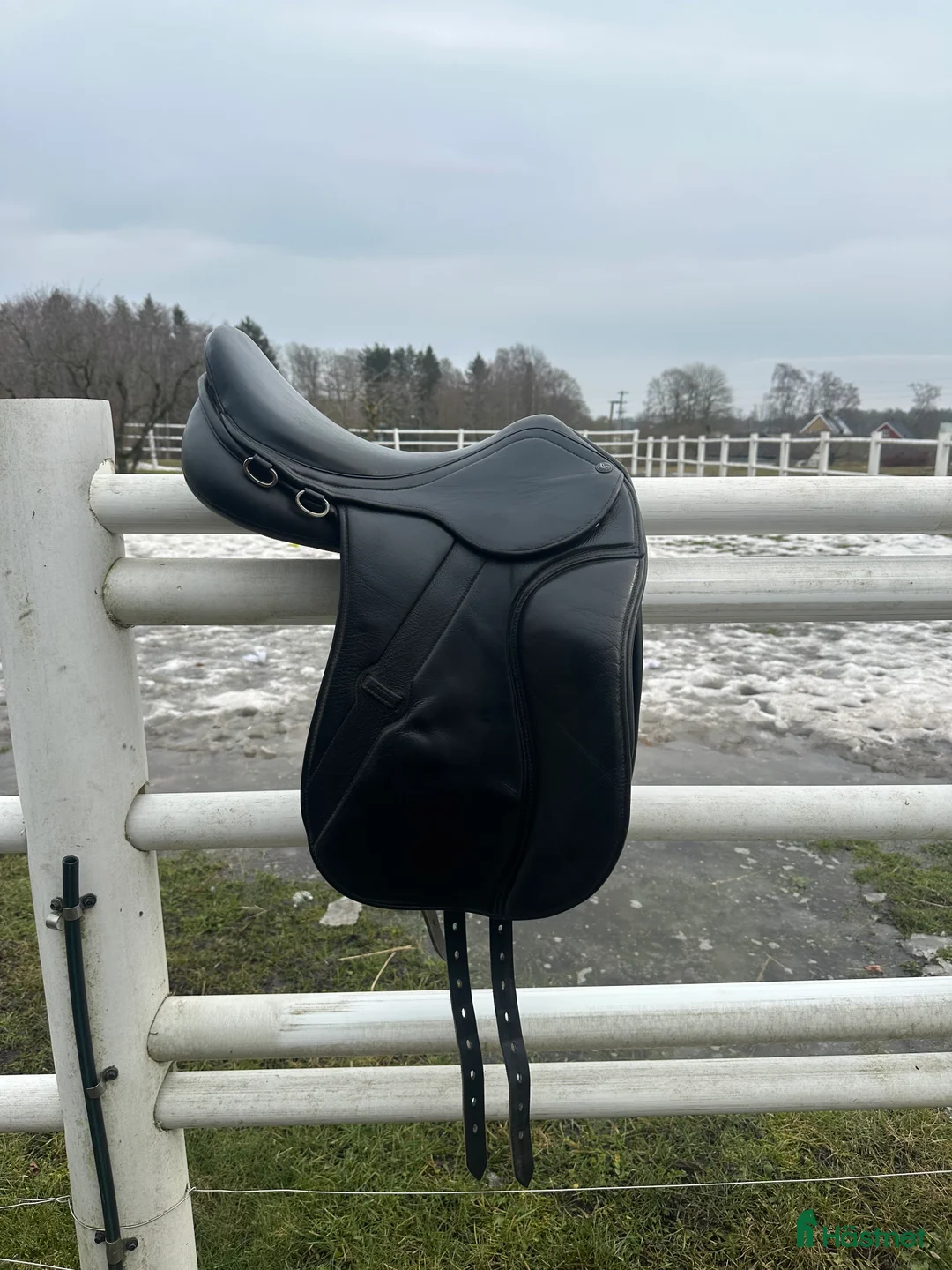 Sadlar hästutrustning till salu: maxflex sadel Island - Annons 1