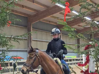 hästar Snygg sportponny - Annons 10