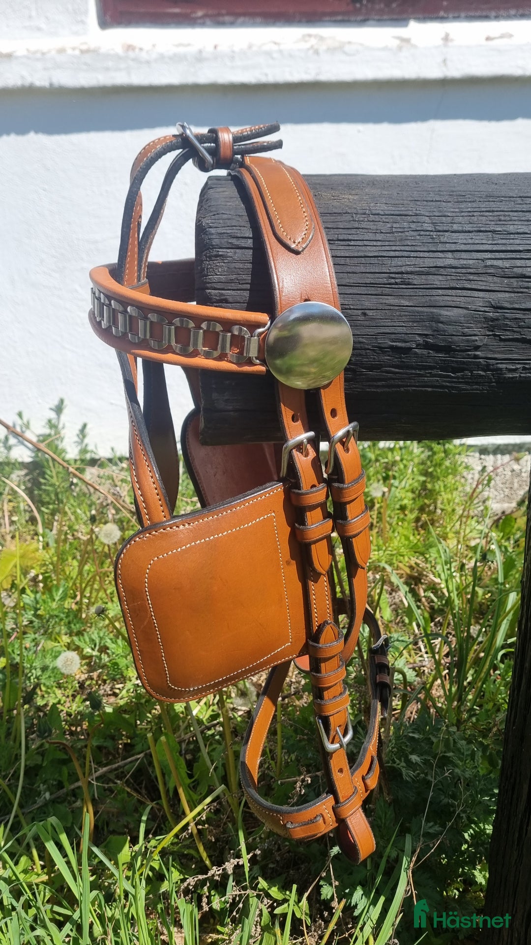 Körselar körning till salu: Cognac färgad bröstsele X-full i Eskilstuna - Annons 6