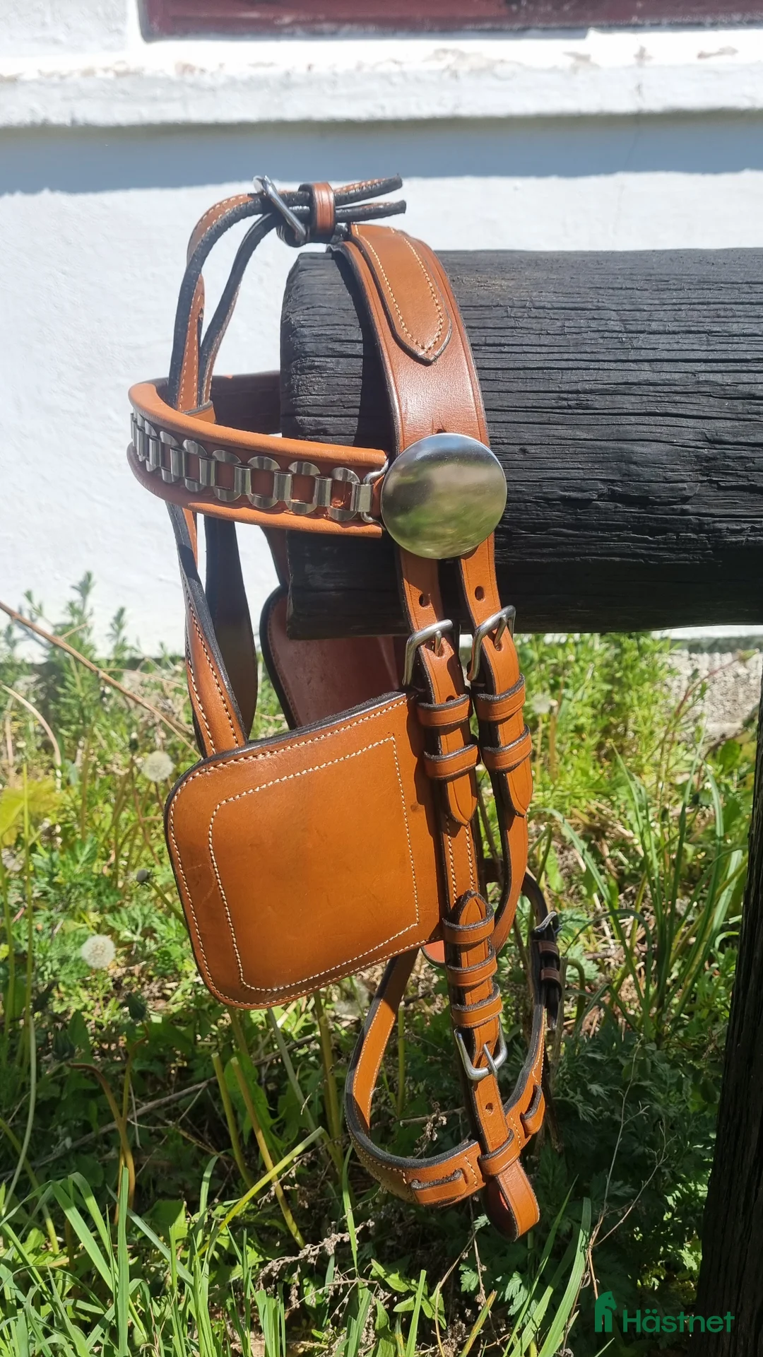 Körselar körning till salu: Cognac färgad bröstsele X-full i Eskilstuna - Annons 6