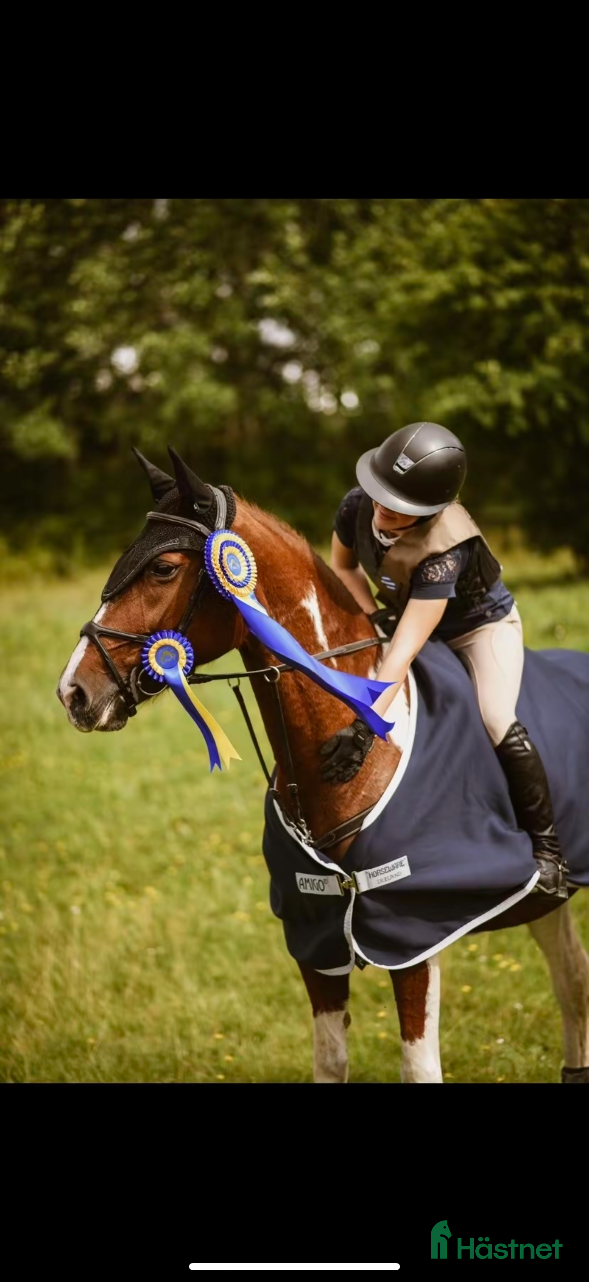  hästar Din nästa bästa kompis? i Söderköping - Annons 16