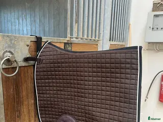 Schabrak & Vojlockar hästutrustning Bruna schabrak - Annons 1