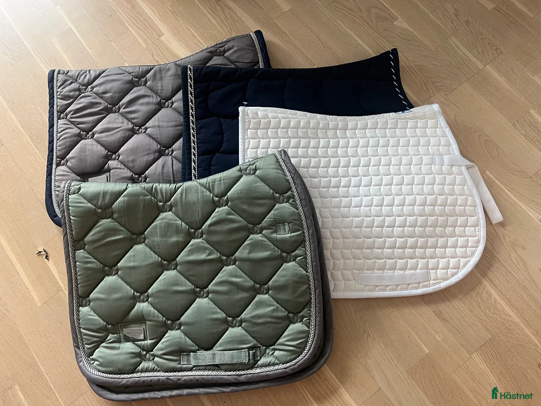 Schabrak & Vojlockar hästutrustning till salu: Två nya ES schabrak i Nacka - Annons 1