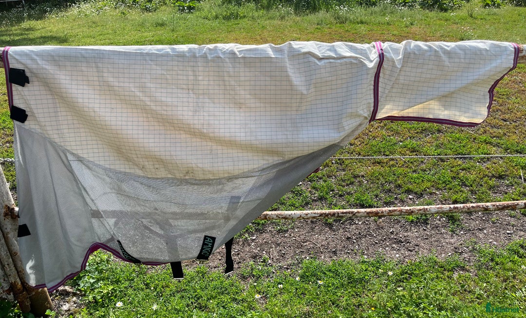 Täcken hästutrustning till salu: Amigo AirFlow 125 Green/Purple i Uppsala - Annons 7