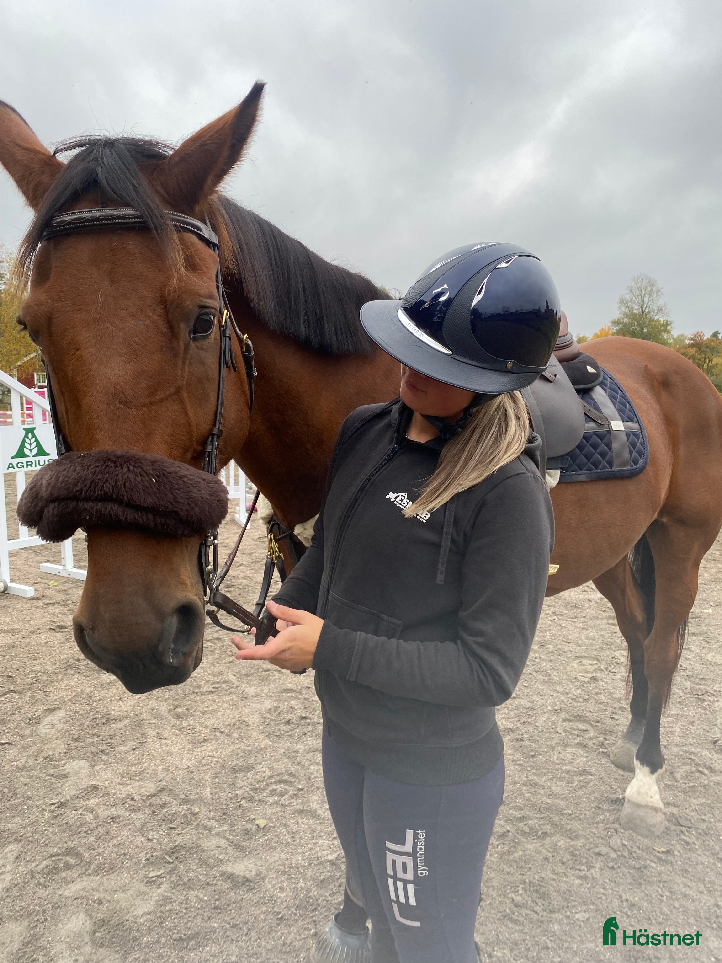  medryttarhäst sökes: Söker medryttarhäst i Västmanland  - Annons 13