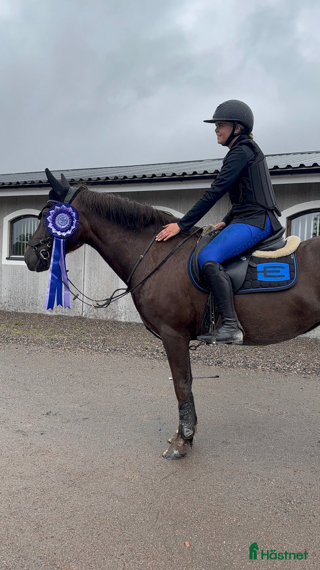 Schabrak & Vojlockar hästutrustning till salu: Equiline schabrack  i Härryda - Annons 1