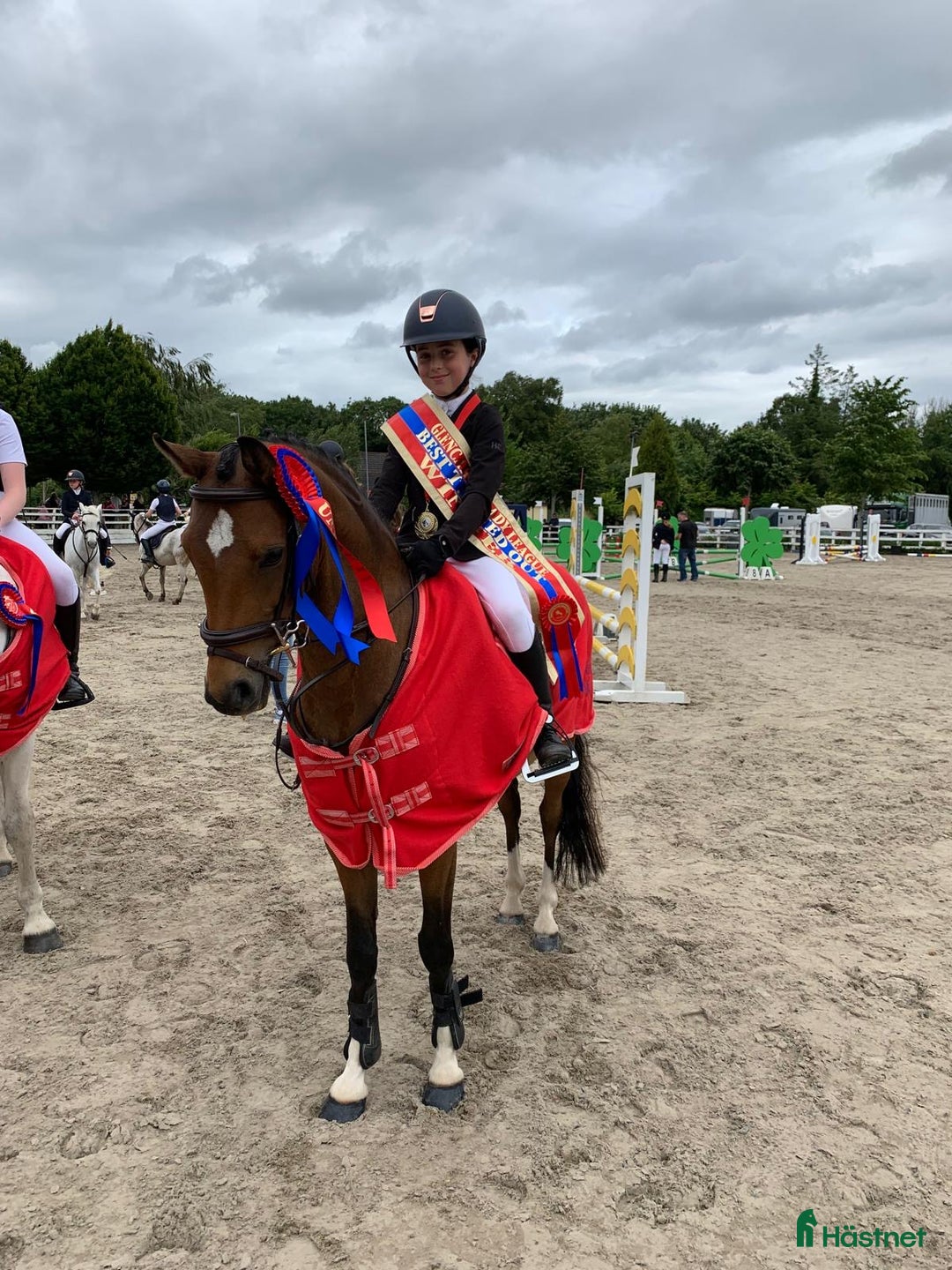 Hoppning hästar till salu: Top 128 pony, record to 1m!!!  i Stockholm - Bild 4