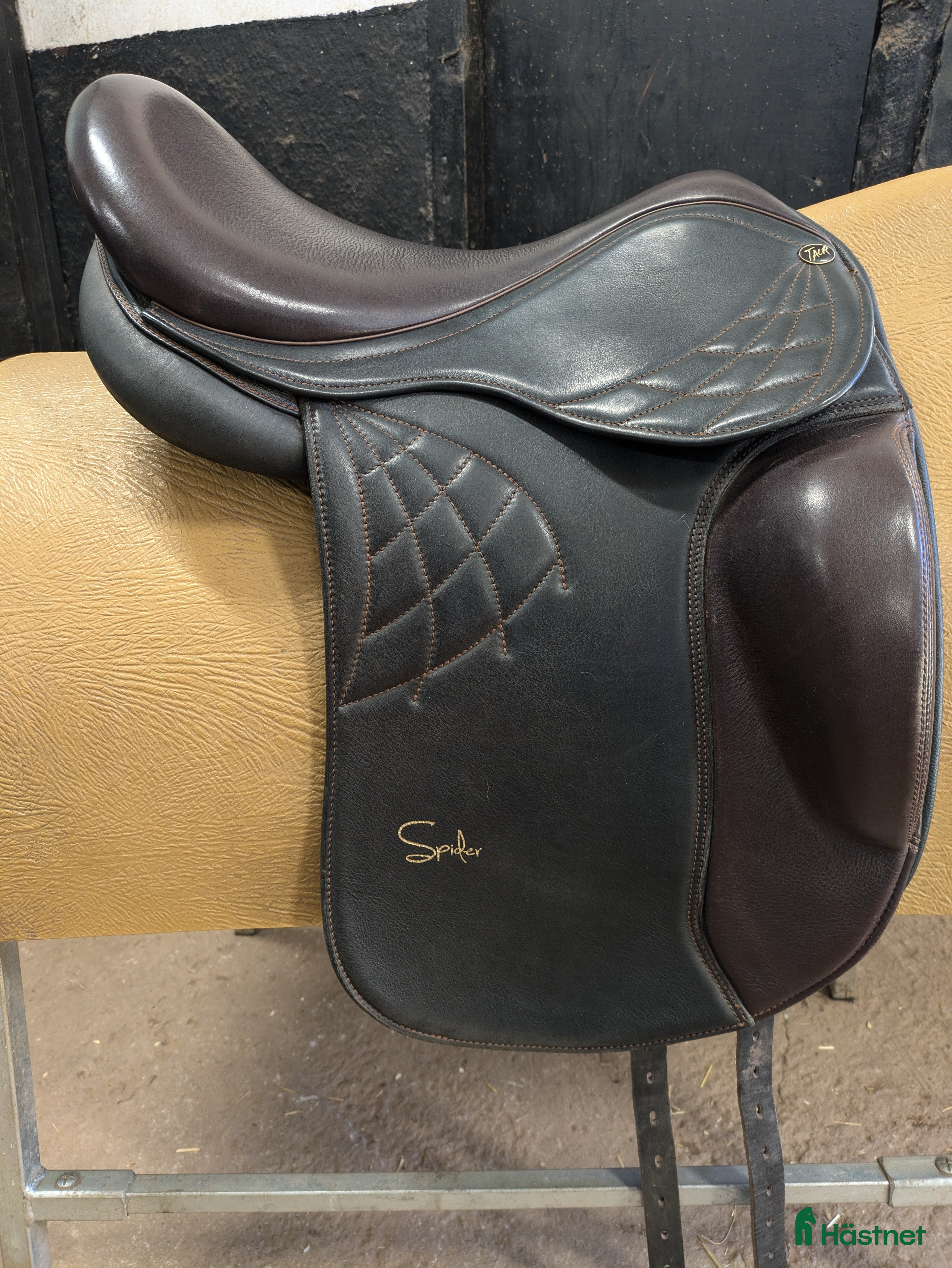 Sadlar hästutrustning till salu: Taur spider i Vartofta - Annons 8