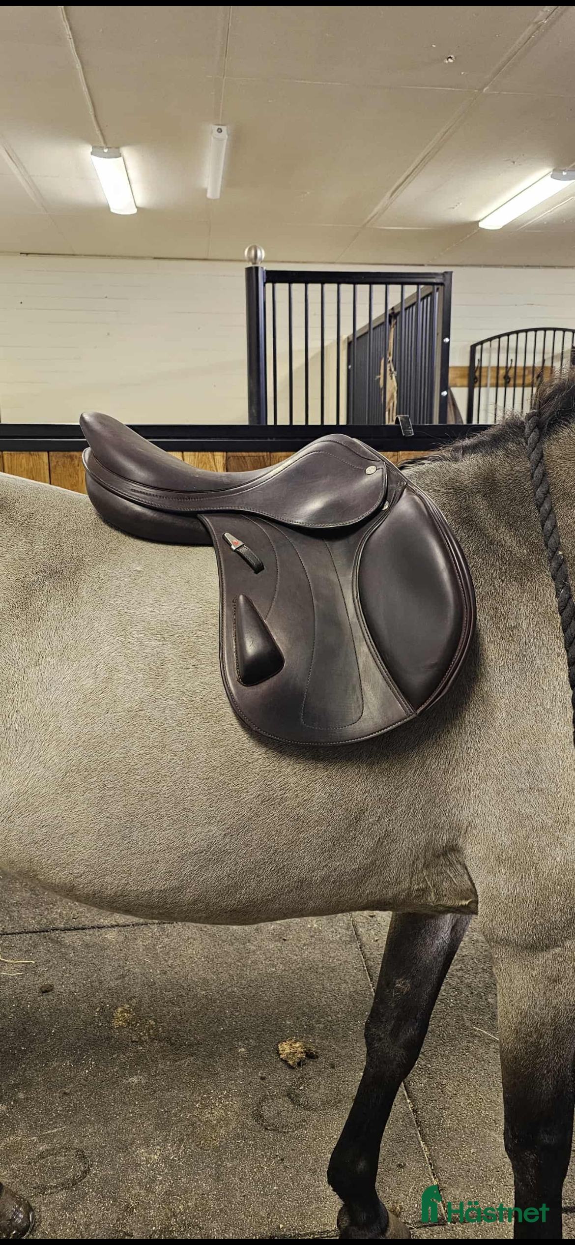 Sadlar hästutrustning Equipe rarity 15.5 i Töreboda - Annons 14