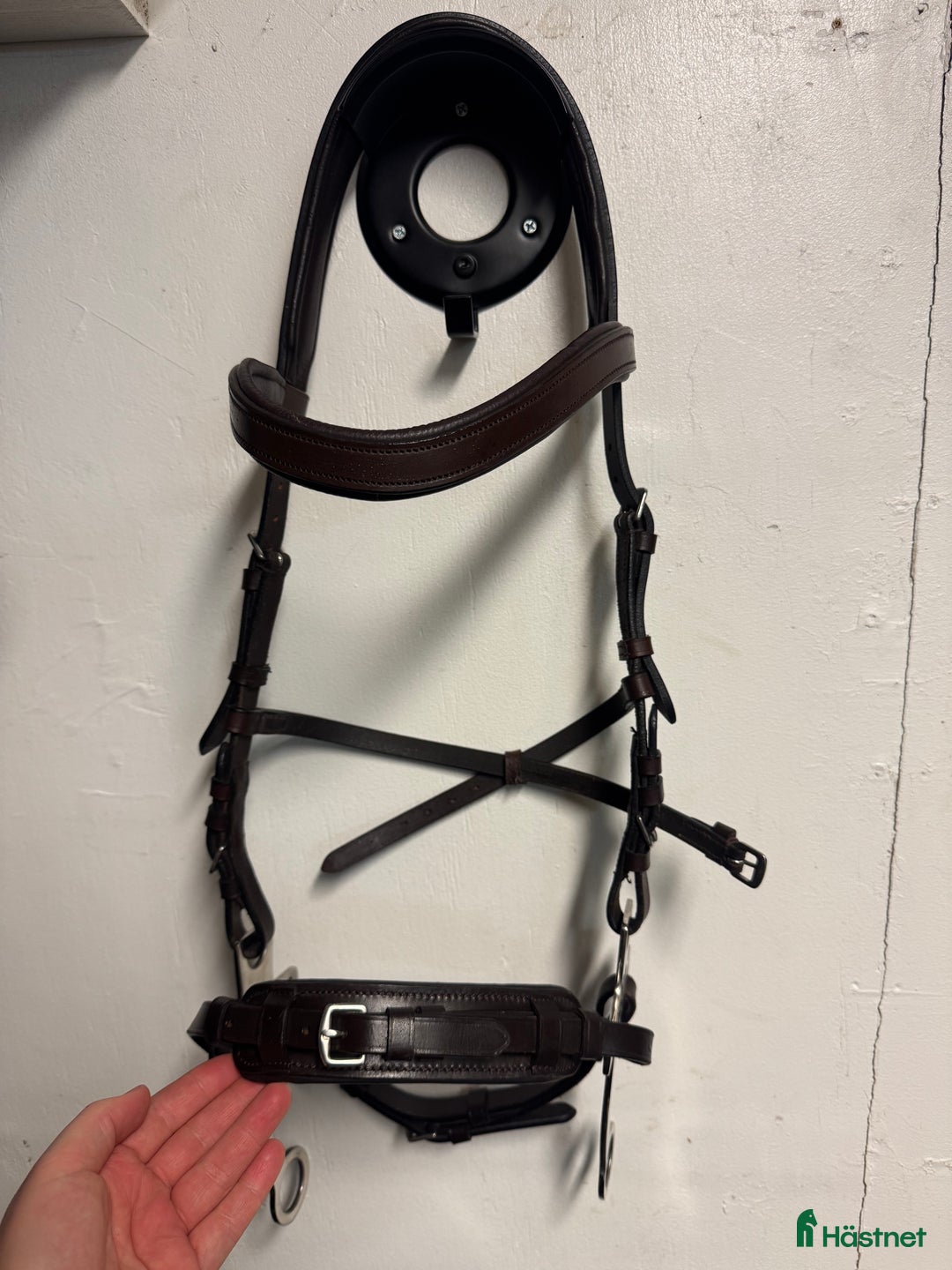 Träns hästutrustning till salu: Hackamore i Kristinehamn - Annons 1