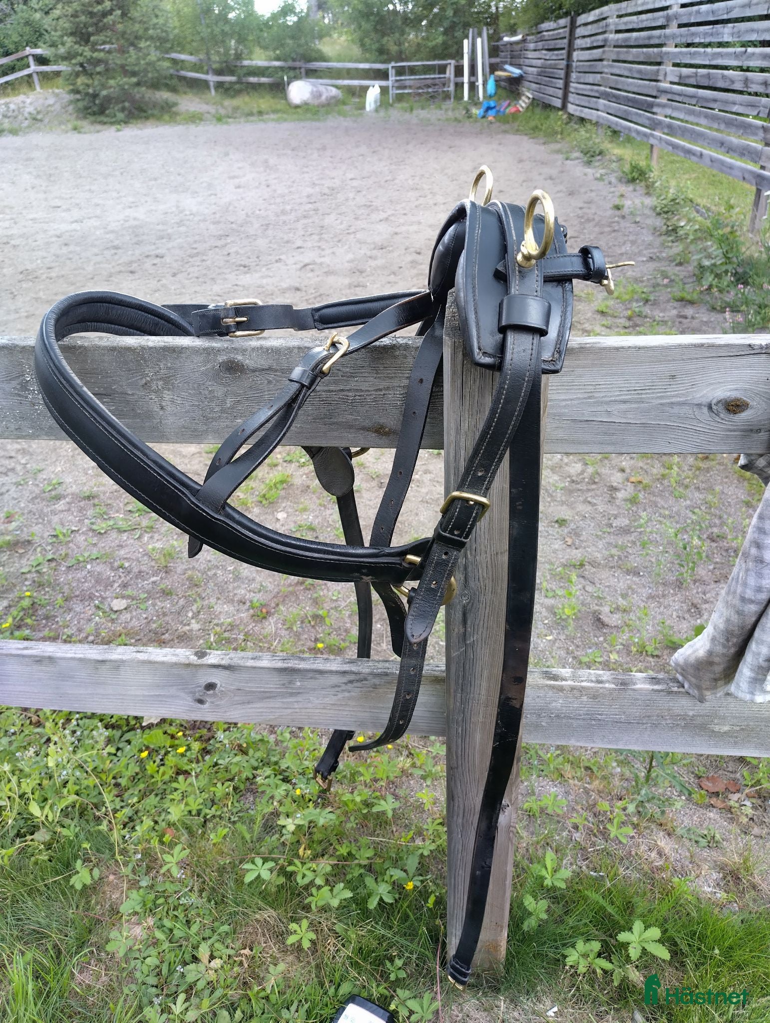 Körselar körning till salu: Enkel sele till A,B ponny - Annons 2