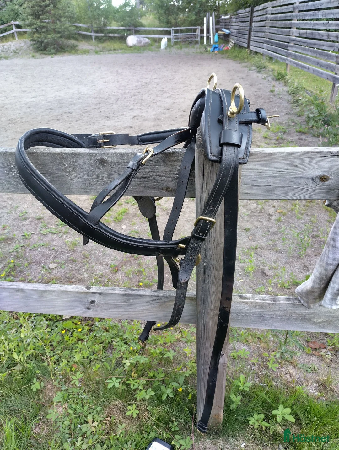 Körselar körning till salu: Enkel sele till A,B ponny - Annons 1