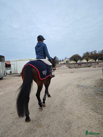 stallplats i Vänersnäs - Annons 12