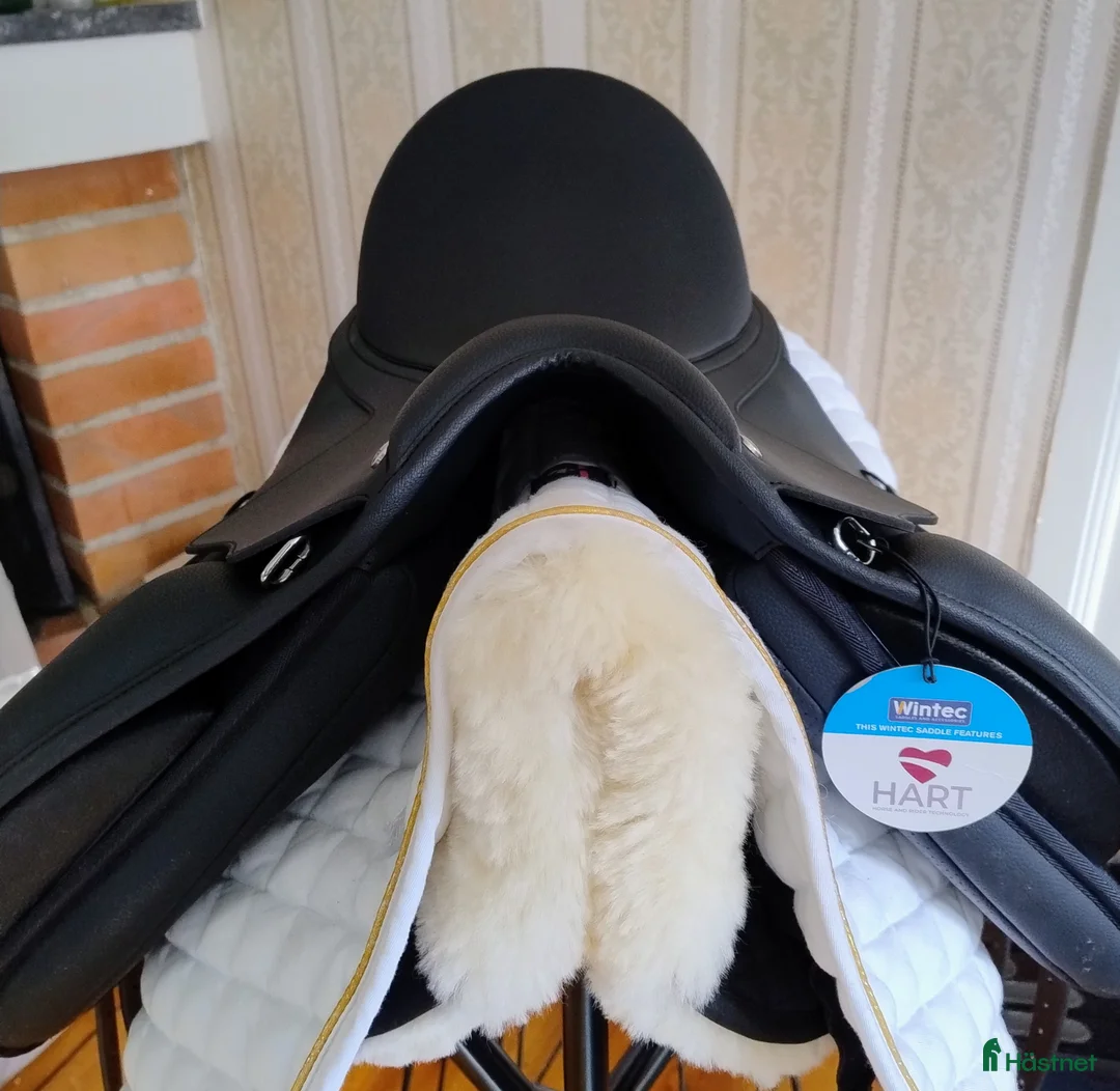Sadlar hästutrustning till salu: NY Wintec Dressyr - Annons 5