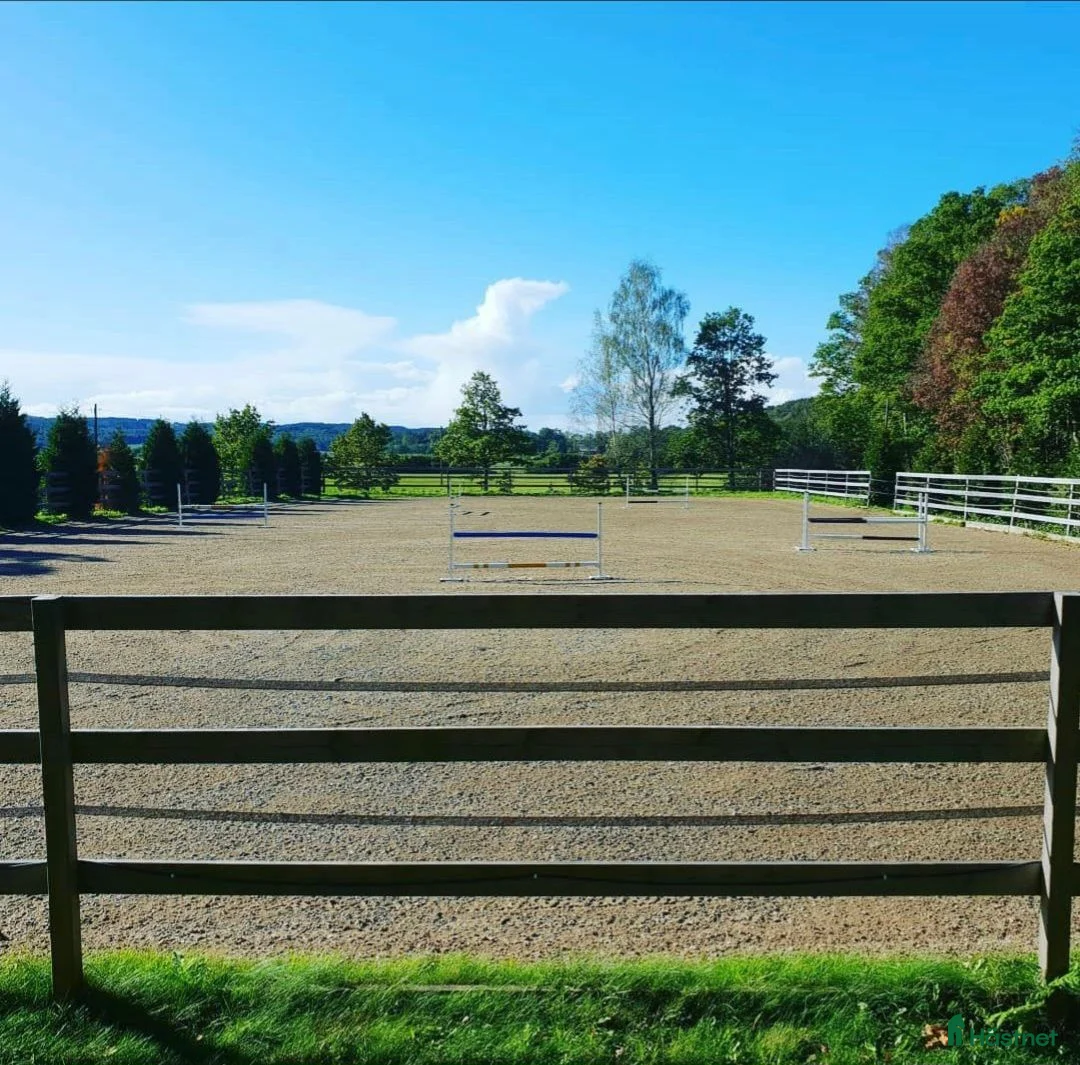  stallplats finnes: 🐴 LEDIGA STALLPLATSER – HORRED 🐴 - Annons 2