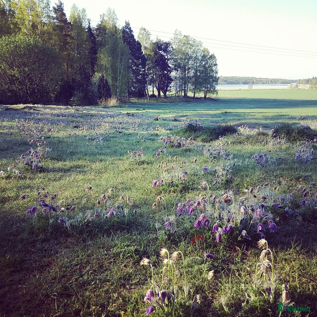  stallplats finnes: Boxplatser centralt i Vallentuna i Vallentuna - Annons 2