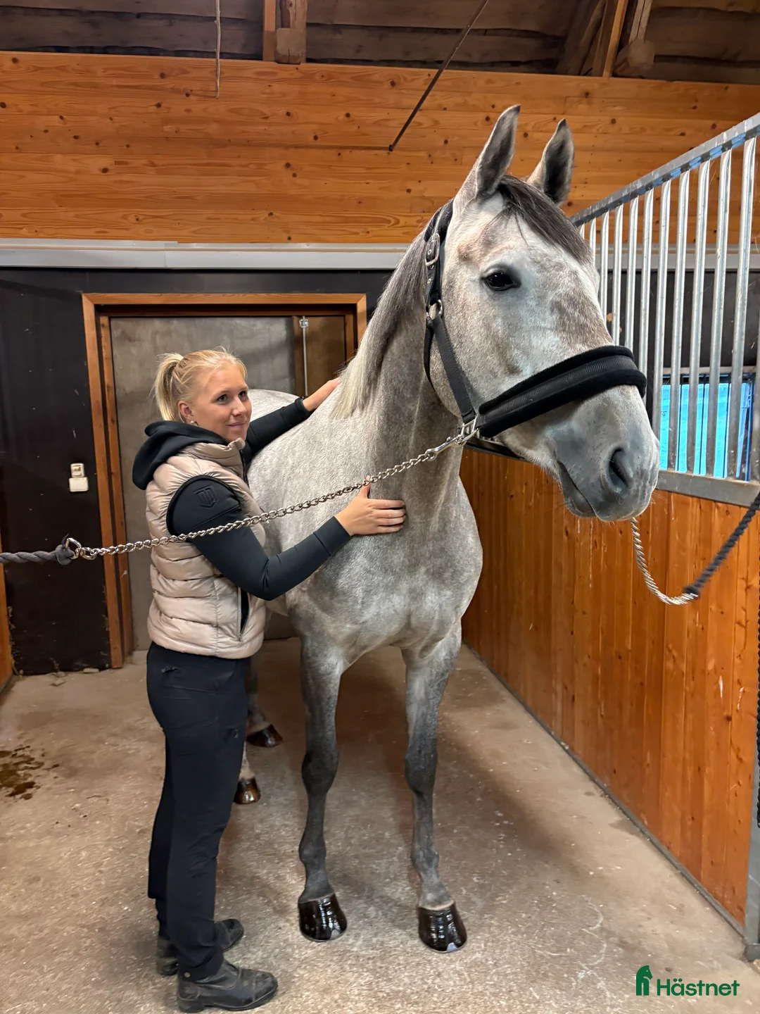  hästservice finnes: Ge din häst den bästa julklappen🎅🏼 i Kristdala - Annons 2