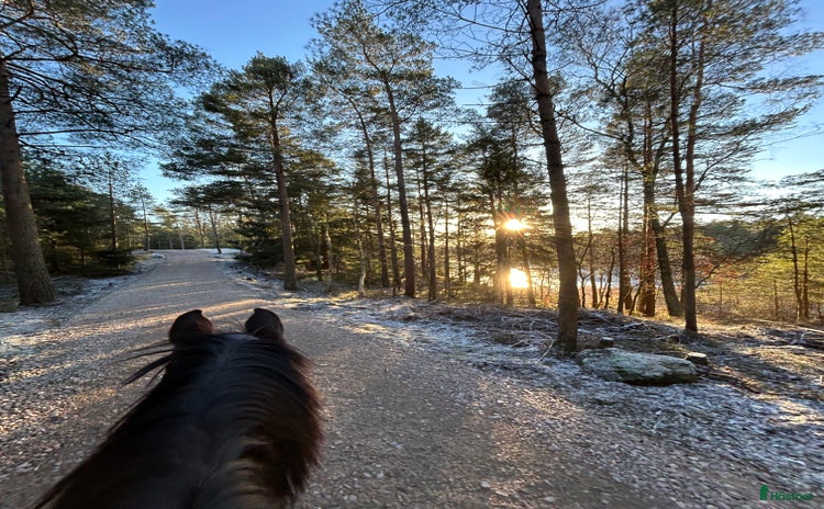  stallplats i Göteborg - Annons 13