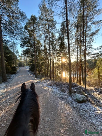 stallplats i Göteborg - Annons 13