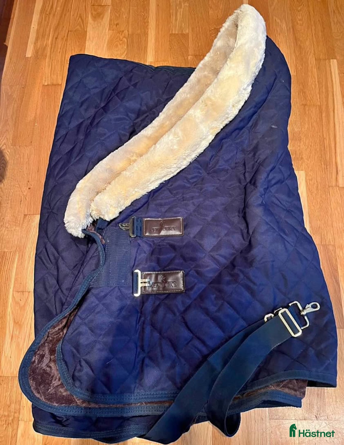 Täcken hästutrustning Kentucky tävlingstäcke  - Annons 11