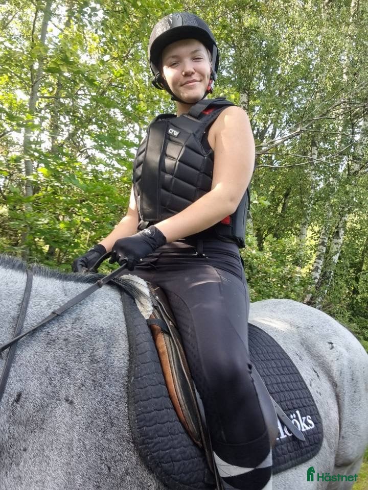  medryttarhäst sökes: 16-åring söker medryttarhäst att utvecklas med. i Västerås - Annons 1